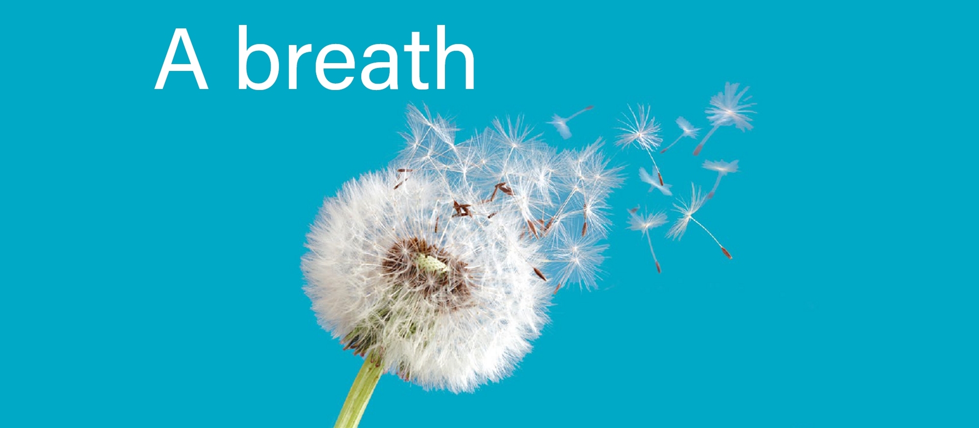 Sanitary Bins Berkshire